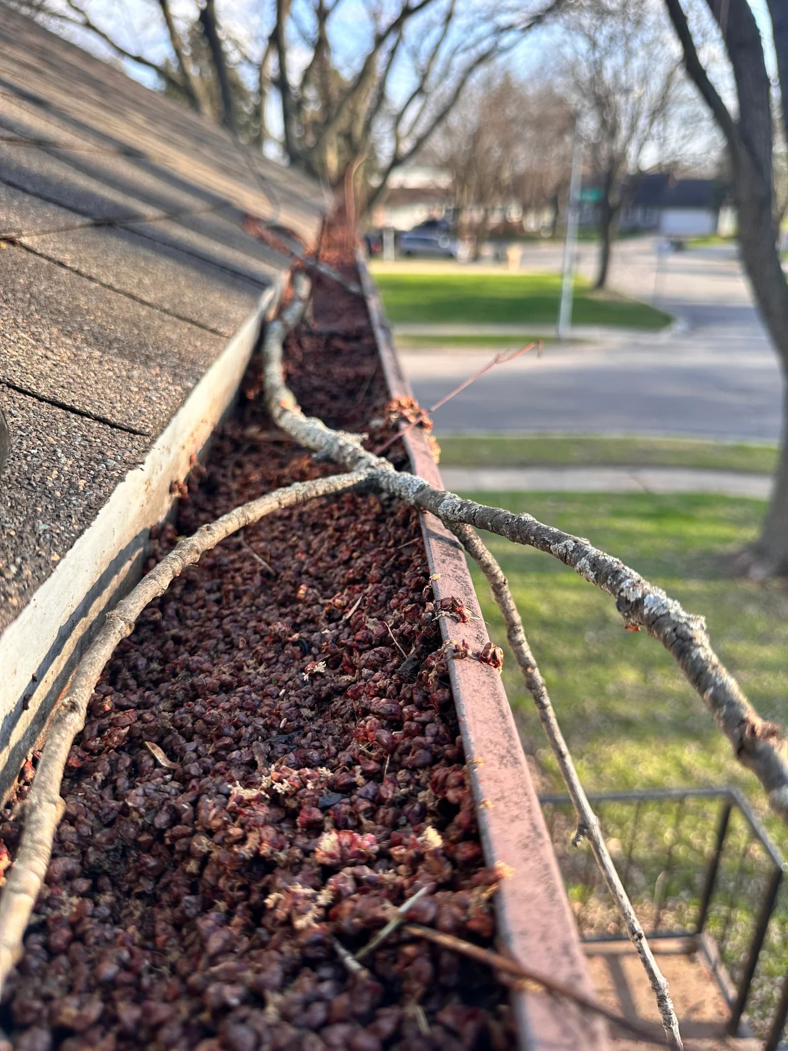 Close-up of gutter packed with debris and branches