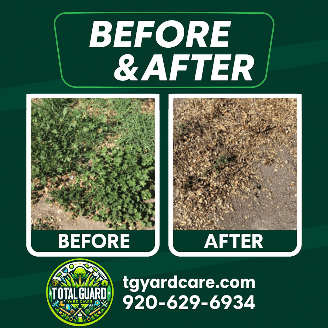 Professional lawn care before and after transformation showing dramatic improvement in lawn quality and appearance - TotalGuard Yard Care Madison WI project 1