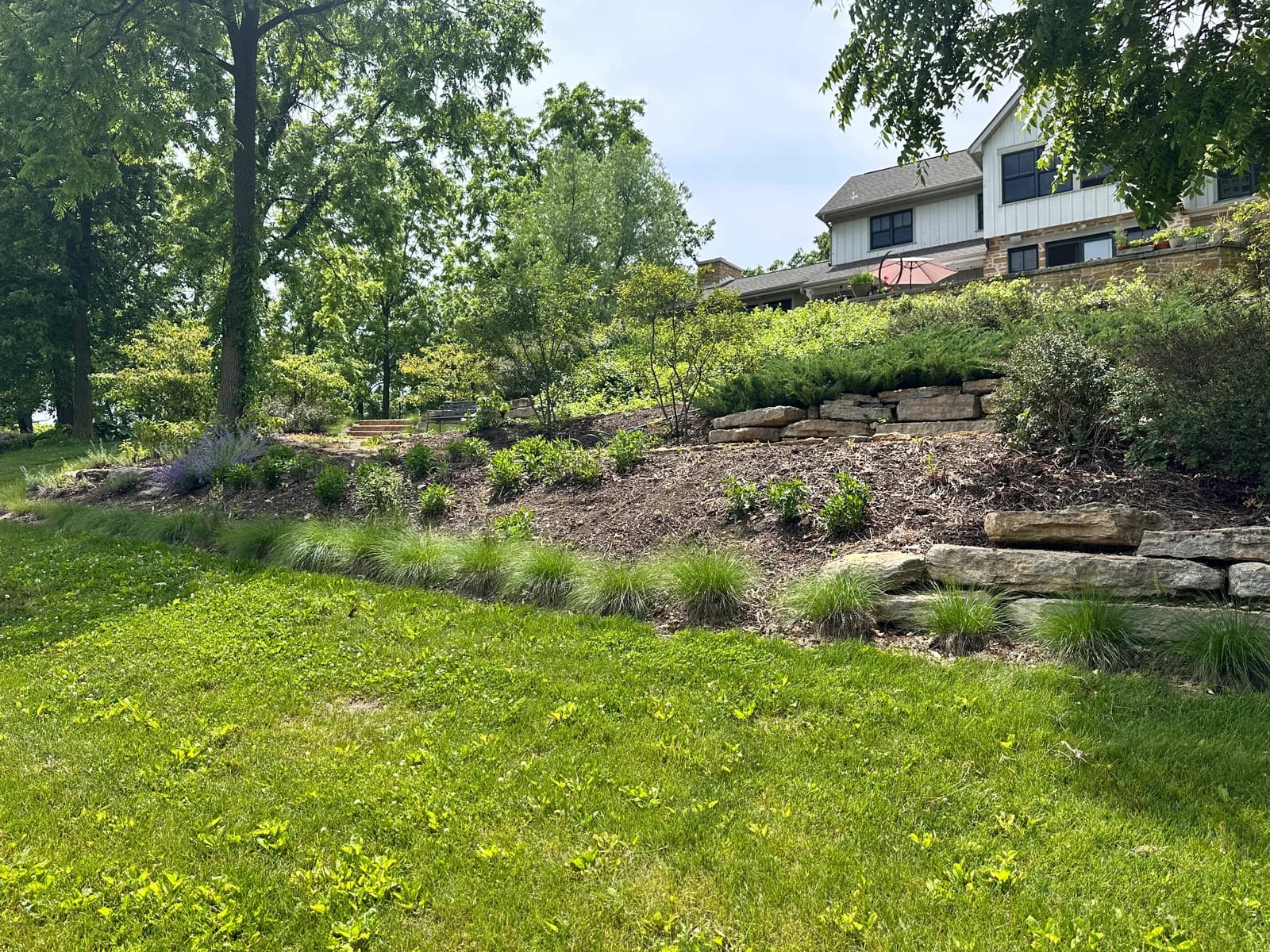 Terraced hillside garden beds with faded old mulch