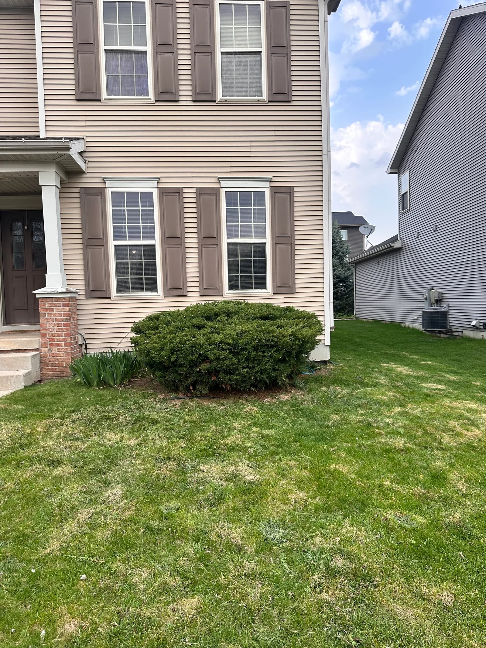 Neatly shaped bush restoring curb appeal after TotalGuard pruning