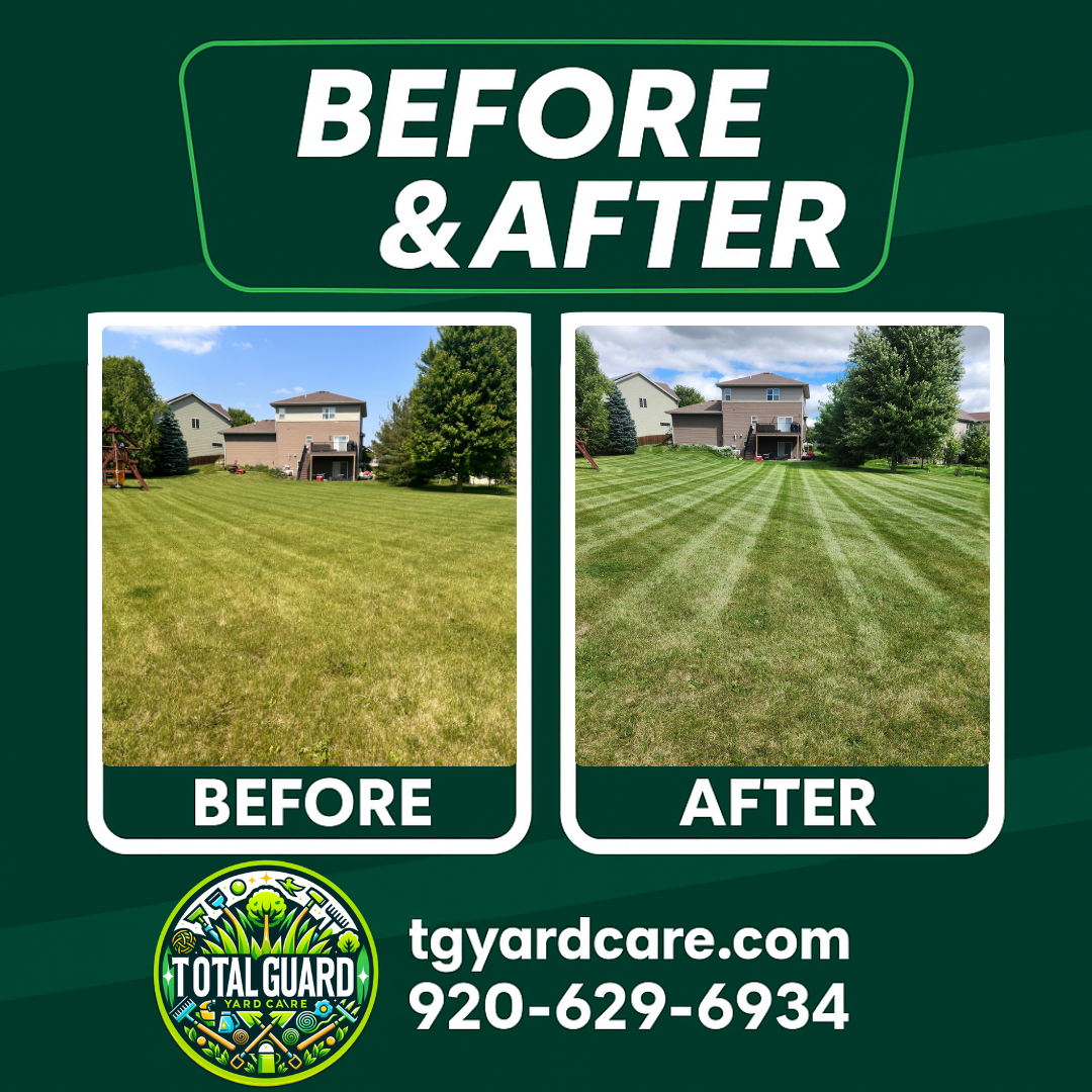 Professional lawn care before and after transformation showing dramatic improvement in lawn quality and appearance - TotalGuard Yard Care Madison WI project 2