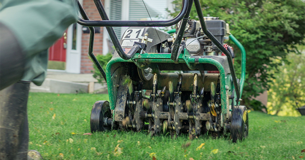 Aeration service - Professional lawn care in Madison Wisconsin by TotalGuard