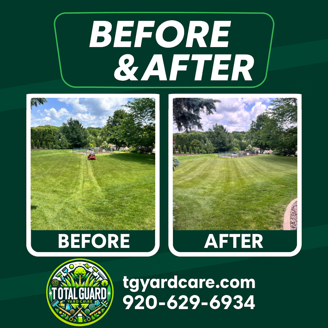 Professional lawn care before and after transformation showing dramatic improvement in lawn quality and appearance - TotalGuard Yard Care Madison WI project 1