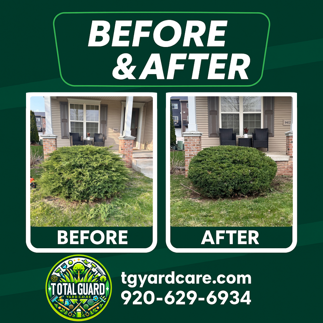 Professional lawn care before and after transformation showing dramatic improvement in lawn quality and appearance - TotalGuard Yard Care Madison WI project 2