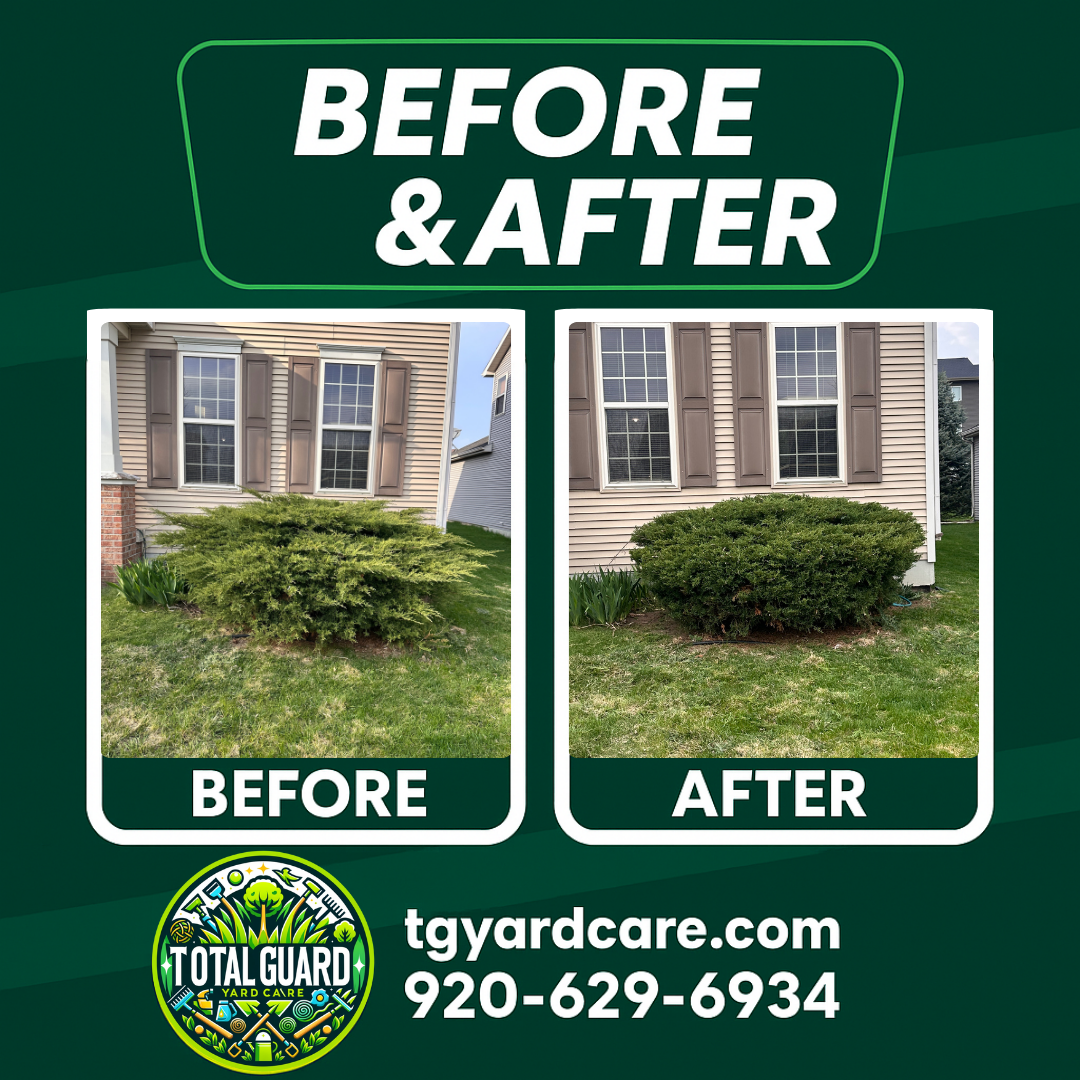 Professional lawn care before and after transformation showing dramatic improvement in lawn quality and appearance - TotalGuard Yard Care Madison WI project 1