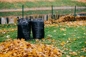 Fall Cleanup service - Professional lawn care in Madison Wisconsin by TotalGuard