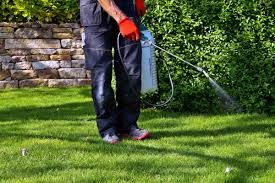 Herbicide Services service - Professional lawn care in Madison Wisconsin by TotalGuard